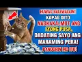 Download Lagu Pagkakalmot ng Pusa, Pera ang Hatid? Alamin at Panoorin mo ito!