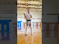Download Lagu SANCHIN KATA GOJU RYU KARATE SEIWAKAI by Davy Wijaya Sensei