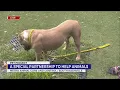 Nashville Pet Project A special partnership to help animals