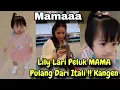 Download Lagu DETIK2 LILY LARI PELUK MAMA GIGI PULANG DARI ITALI PANGGIL MAMA²