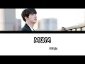 Download Lagu [INDO SUB] BTS Jin -'mom' [Han/Rom] lyric color conded