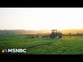 Download Lagu Trump's 'doggone tariffs' are raising prices for farmers: Fmr. Sen Jon Tester