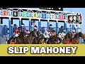 SLIP MAHONEY Breaks Maiden At Aqueduct Brad Cox Trainee By Arrogate To A 2023 Kentucky Derby Prep