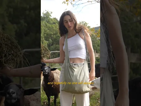 Rotationally grazing these sheep & goats has many incredible benefits #regenerativefarming #shorts