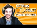 Simple Citrus Fruit Classification - Data Every Day