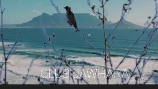 إستمتع بتغريد الحسون الخلوي المغربي في جبال الأطلس روعه 