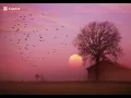 NEJ' - "Bébé" | بدون موسيقى بجودة عالية#اكسبلور #بدون_موسيقى #اكسبلورهاشتاقات #viralvideo #songs