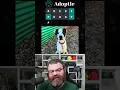 This dog can be adopted from Austin Pets Alive in Austin TX Adoptle July 8 2024
