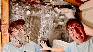 What Will Support the Chain Plates? | Sailing Wisdom [S6 Ep5]