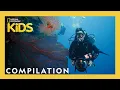 The BEST Jobs Ever Nat Geo Explorers 25 Minute Compilation natgeokids
