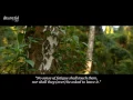 Download Lagu NEW   beautiful Quran recitation   heart soothing voice