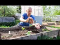 10 Crops You d Be FOOLISH Not to Plant in May