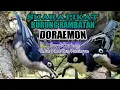 Download Lagu Suara Pikat Burung Rambatan Doraemon. 💯 Ampuh Untuk Pikat Dan Pancingan.