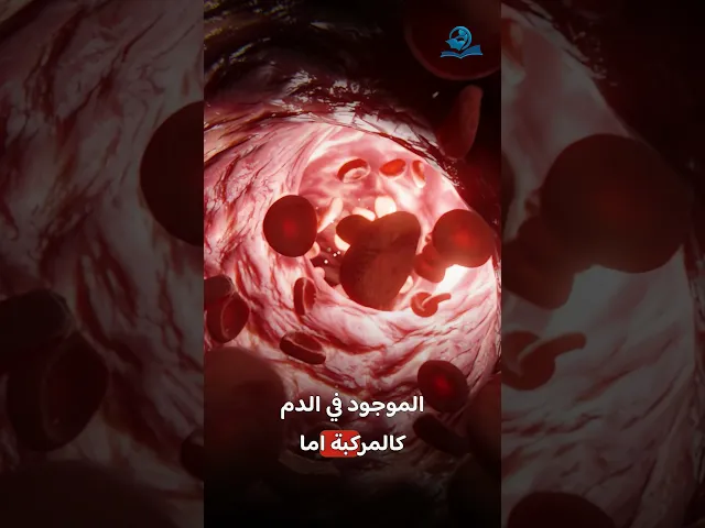 ⁣هل تساءلت يوماً لماذا لا يصدأ الحديد في الدم ؟