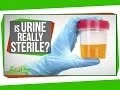 Is Urine Really Sterile