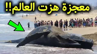 اخيرا  السعودية تكشف معجزة صوت الحوت الازرق الذي افزع العالم   سبحان الله    دندنها