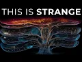 This Strange Theory Makes Scientists Speechless