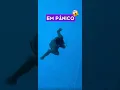 Lagu Manter a calma pode lhe salvar! 😱 #shorts #natação #swim #natacion #swimming #piscinas