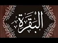 Download Lagu Kazim MD is live