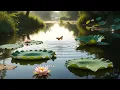 Peaceful Zen Forest with Soft Water Flow  No Ads 2h30