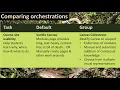 Improving Canvas course site usability
