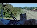 Harvest Hosts Cranguyma Farm Long Beach Washington