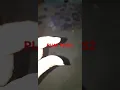 Pijat Plus