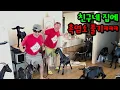 Download Lagu 배말랭 옥천 집에 흑염소 풀기ㅋㅋㅋ