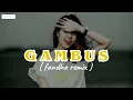 GAMBUS BUGIS - DEGAGA LAINGE UPOJI ( fandho remix )