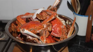 205-A short tinnie trip around Mandurah & Dawesville catching crabs