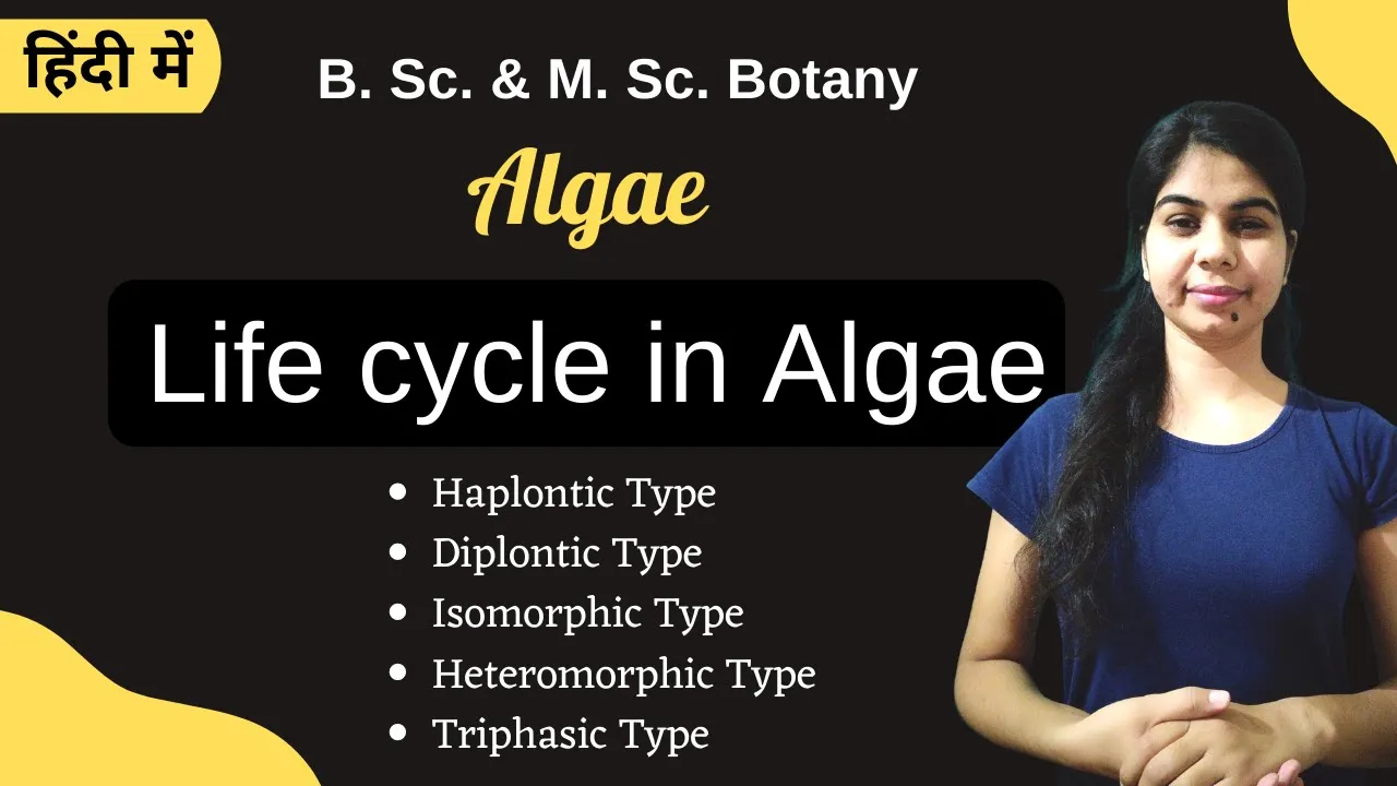 TYPES OF LIFE-CYCLE IN ALGAE || in Hindi || Botany || B. Sc. & M. Sc.