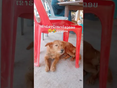 23 ມີນາ 2026