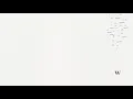 Shawn Mendes - Wonder (Acoustic)