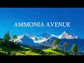 Lagu Ammonia Avenue Alan Parsons Project Lyrics