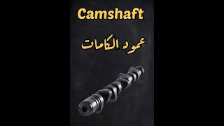 شنو هوة الكام شفت  عمود الكامات                                 دندنها