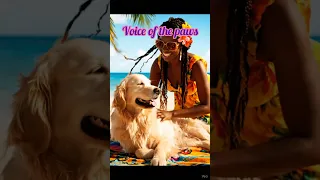 Golden Retriever Enjoying His Belly Massage Animalrights Goldenretriever Cutedog 