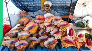 Bahamas ALIEN Seafood Boss Why Do They LoVe This