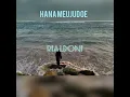 RIALDONI - Hana Meujudoe (Lirik \u0026 Terjemahan)