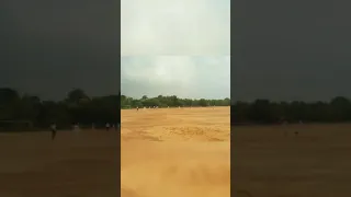                                                               دندنها