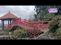 Download Lagu KARAOKE VỌNG CỔ - TÌNH SỬ BẠCH THU HÀ- SOẠN GIẢ VIỄN CHÂU (THIẾU ĐÀO)