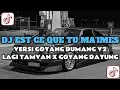 Download Lagu DJ EST CE QUE TU MA'IMES VERSI GOYANG DUMANG V2 X LAGI TAMVAN X GOYANG DAYUNG FULL SONG DJ Vel Bass