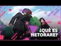 What is NTR or Netorare Tierragamer