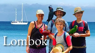 Breathtaking Waterfall + Sailing to Lombok & Touching Wild Animals Up Close! Ep 228