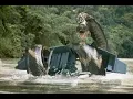 Boa A Cobra Assassina - Filme Completo Dublado