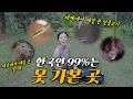 Download Lagu 다큐멘터리에서만 보던 아마존을 다녀온 여자의 환상적인 하루 | 아마존2