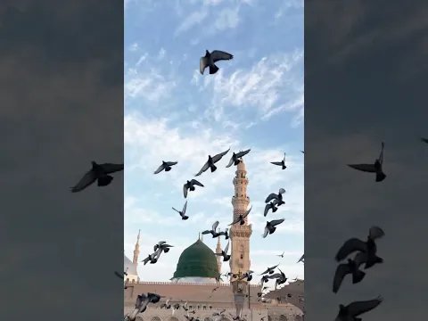 sabse jyada jahanum me kon jayenge lo #shortvideo #viralshort #shortvideo #islam #islamicnaat #short