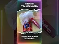 Download Lagu Tissue Magicman #tissuemagic