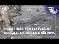Download Lagu Fantástico: imagens inéditas revelam primeiras tentativas de resgate de Juliana Marins