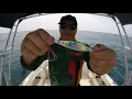 Download Lagu Slow pitch jigging action | Top water fishing | Testing the new Ocean Legacy Slow Element