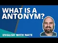 What Is An Antonym Antonym Examples and Antonym Meaning